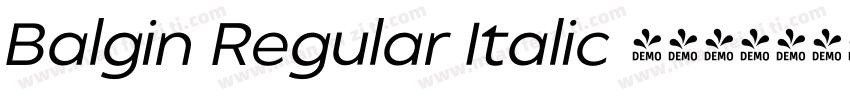 Balgin Regular Italic 语言英文字体转换